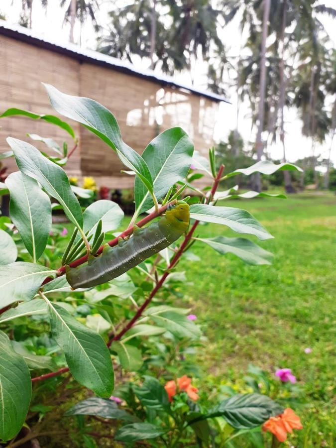 Bahandi Beach Lodge Mambajao Buitenkant foto